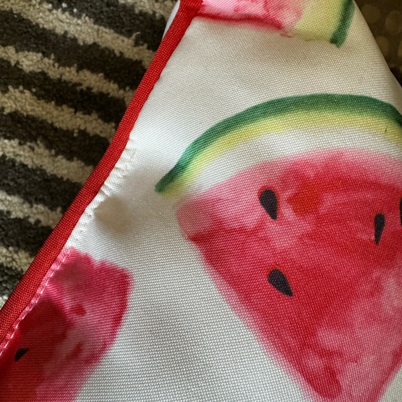 20 inch square outdoor watermelon pillow🍉 darling piping around edge-see photos - Picture 4 of 7